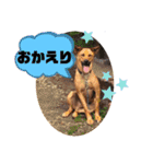 フライ♪フライ♪フライ♪（個別スタンプ：3）