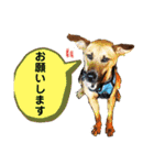 フライ♪フライ♪フライ♪（個別スタンプ：6）