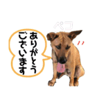 フライ♪フライ♪フライ♪（個別スタンプ：7）