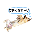 フライ♪フライ♪フライ♪（個別スタンプ：9）