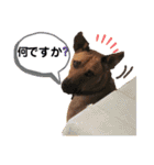 フライ♪フライ♪フライ♪（個別スタンプ：14）