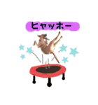 フライ♪フライ♪フライ♪（個別スタンプ：17）