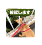 フライ♪フライ♪フライ♪（個別スタンプ：20）