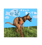 フライ♪フライ♪フライ♪（個別スタンプ：21）