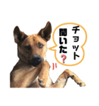 フライ♪フライ♪フライ♪（個別スタンプ：24）