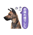 フライ♪フライ♪フライ♪（個別スタンプ：25）