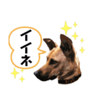 フライ♪フライ♪フライ♪（個別スタンプ：26）
