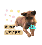 フライ♪フライ♪フライ♪（個別スタンプ：27）