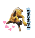 フライ♪フライ♪フライ♪（個別スタンプ：28）