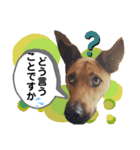 フライ♪フライ♪フライ♪（個別スタンプ：31）