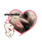 alexandre stamp（個別スタンプ：1）