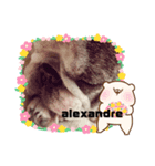 alexandre stamp（個別スタンプ：3）