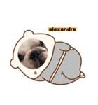 alexandre stamp（個別スタンプ：5）