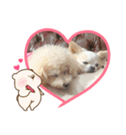 ゆずポポ（個別スタンプ：14）