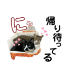 にゃんこ と ふく の日常2（個別スタンプ：6）