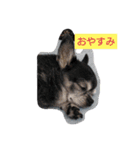 kochandaisuki（個別スタンプ：7）