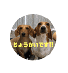 マロレモ4（個別スタンプ：2）