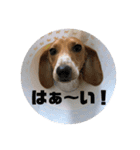 マロレモ4（個別スタンプ：7）