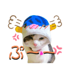 ★猫のユメと申すにゃん★（個別スタンプ：9）