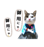 ★猫のユメと申すにゃん★（個別スタンプ：10）