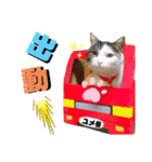 ★猫のユメと申すにゃん★（個別スタンプ：18）