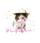 ★猫のユメと申すにゃん★（個別スタンプ：22）