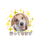 毎日使える！ ジャックのユキスタンプ‪‪❤︎‬（個別スタンプ：9）