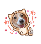毎日使える！ ジャックのユキスタンプ‪‪❤︎‬（個別スタンプ：22）