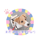 毎日使える！ ジャックのユキスタンプ‪‪❤︎‬（個別スタンプ：32）