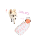 mochi to mochi 2（個別スタンプ：9）