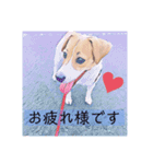 敬語スタンプ！ ジャックラッセルテリア（個別スタンプ：2）