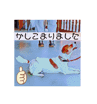 敬語スタンプ！ ジャックラッセルテリア（個別スタンプ：4）