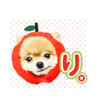 ポメラニアン もふた 4（個別スタンプ：8）