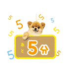 ポメラニアン もふた 4（個別スタンプ：12）