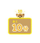 ポメラニアン もふた 4（個別スタンプ：13）