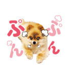ポメラニアン もふた 4（個別スタンプ：32）