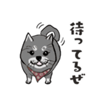 あずきの通訳日記スタンプ〜日常編1（個別スタンプ：8）