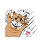 あずきの通訳日記スタンプ〜日常編1（個別スタンプ：16）