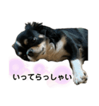 らいむの日常5（個別スタンプ：3）