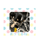 らいむの日常5（個別スタンプ：6）