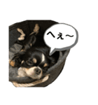 らいむの日常5（個別スタンプ：10）