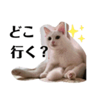 ☆みーすたんぷ☆（個別スタンプ：13）