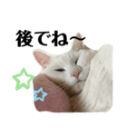 ☆みーすたんぷ☆（個別スタンプ：22）