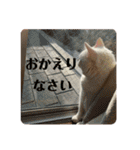 ☆みーすたんぷ☆（個別スタンプ：23）