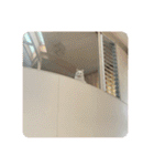 ☆みーすたんぷ☆（個別スタンプ：28）
