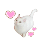 ☆みーすたんぷ☆（個別スタンプ：38）