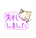 毎日使える☆リボンと三毛猫（個別スタンプ：35）