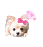 まるたすたんぷ（個別スタンプ：5）