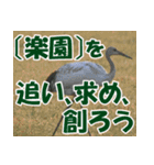サロベツ原野の丹頂鶴01（個別スタンプ：23）