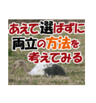 サロベツ原野の丹頂鶴01（個別スタンプ：40）